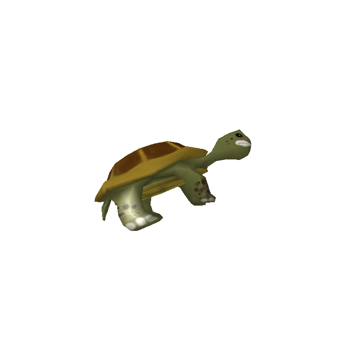 Leland the Lolturtle